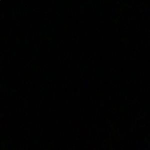 Meet your Posher, Ingrid